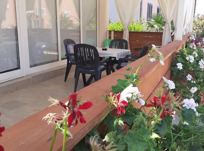 Josipa ביוגראד נה מורו