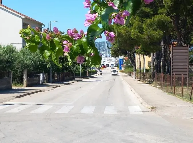 Josipa * ביוגראד נה מורו